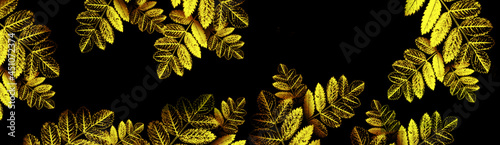 Banner with gold leaves on black background. Outumn.  photo