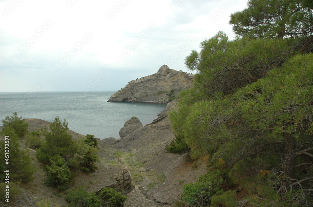 Coastal rocks. Coniferous trees on the rocky coast. Rocky coast. The Golitsyn Trail. Crimea.