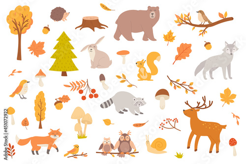 Autumn forest with animal isolated objects set. Collection of fall trees and leaves, mushrooms, bear, wolf, squirrel, raccoon, deer, owl, fox. Vector illustration of design elements in flat cartoon