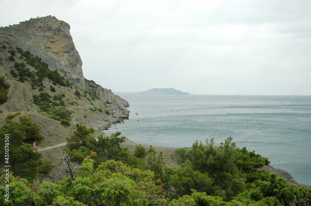 Coastal rocks. Coniferous trees on the rocky coast. Rocky coast. The Golitsyn Trail. Crimea.