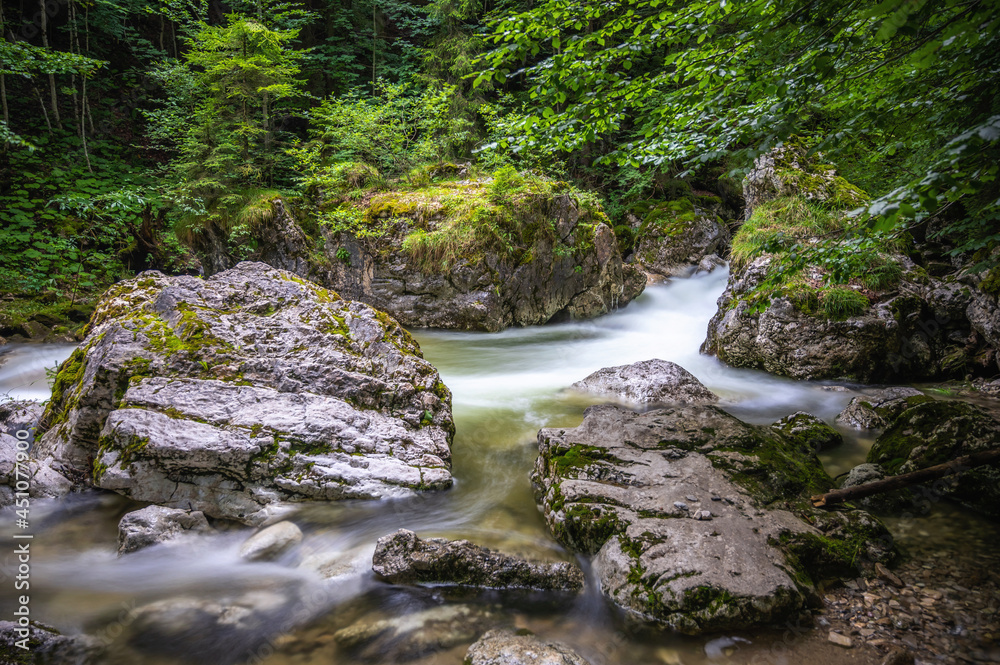 Bachlauf eines Gebirgsbaches in den Alpen im dichten Unterholz