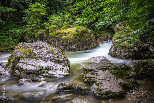 Bachlauf eines Gebirgsbaches in den Alpen im dichten Unterholz