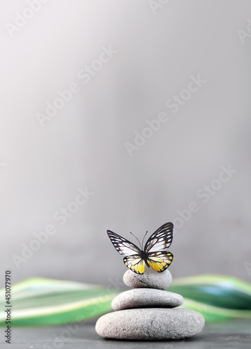 Photography Spa stones with palm leaf and butterfly on grey background.