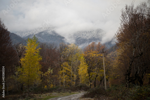 Amazing view with colorful autumn forest with asphalt mountain road at sunset.
