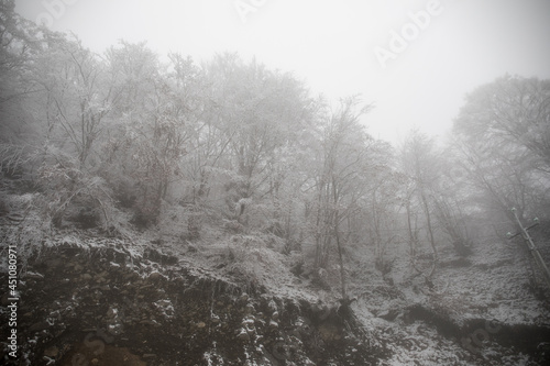 Winter trees in mountains covered with fresh snow. Beautiful landscape with branches of trees covered in snow. Mountain road in Caucasus. Azerbaijan