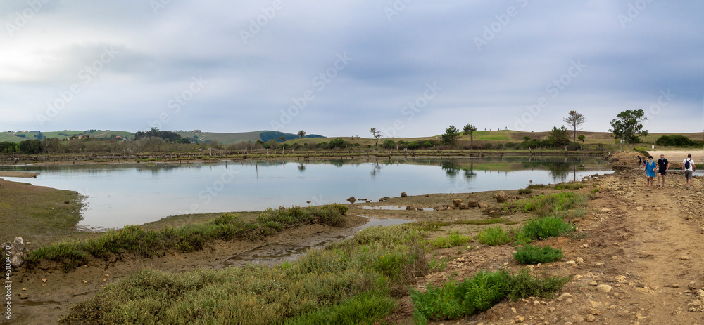 Vistas panorámicas del paisaje reflejado en el agua del río Arroyo del Capitán en Cantabria, España, verano de 2020