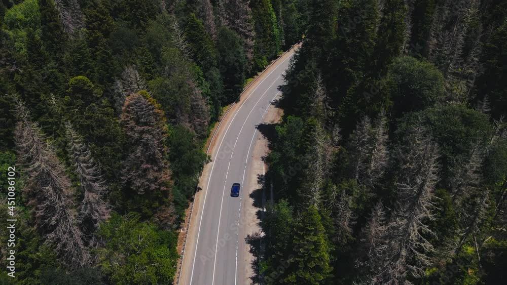 Transport Moving along Highway through Green Coniferous Forest in Summer. Aerial View of Road Trip Transport Moving along Highway through Green Coniferous Forest in Summer. Aerial View of Road Trip