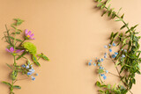 Flat lay of fresh cut flowers of garden for herbarium on beige background