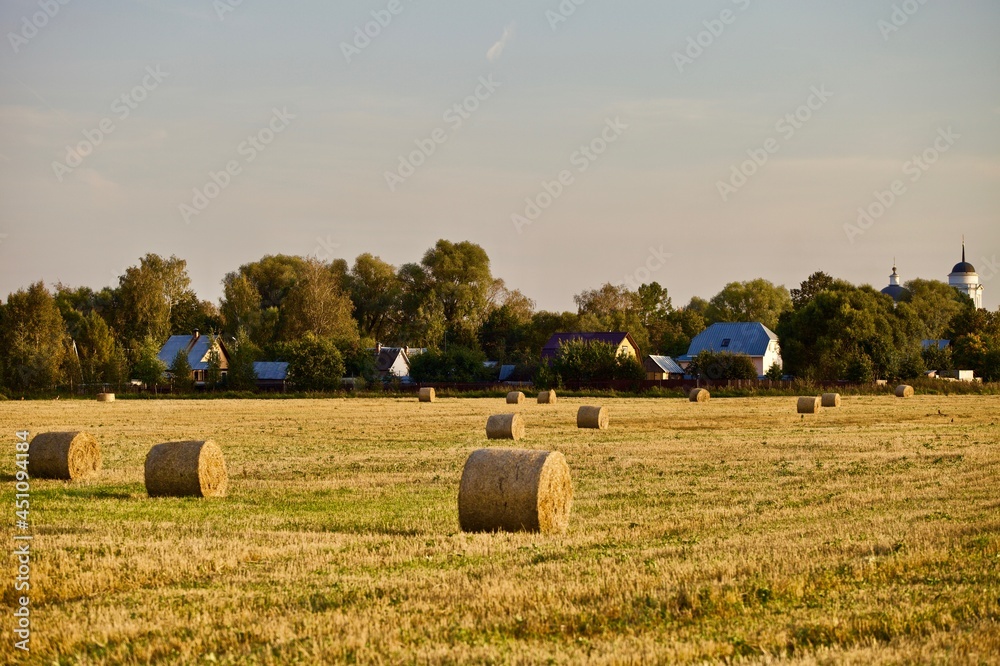 Fototapeta premium Beautiful traditional village view and bright yellow and golden Haystacks on agricultural field in sunny autumn evening. Haystacks on the field in the countryside. Harvest season in countryside.