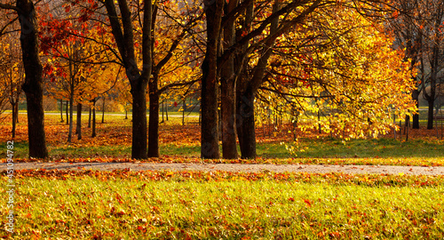 Beautiful Nature Autumn city park