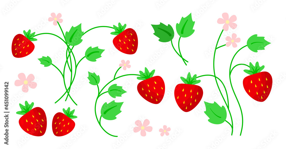 Strawberry with leaves and flowers cartoon summer flat style set isolated on white background. Different variations of berries and petals. Designer summer elements. Botanical vector illustration Strawberry with leaves and flowers cartoon summer flat style set isolated on white background. Different variations of berries and petals. Designer summer elements. Botanical vector illustration
