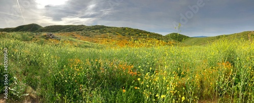 landscape in the mountains