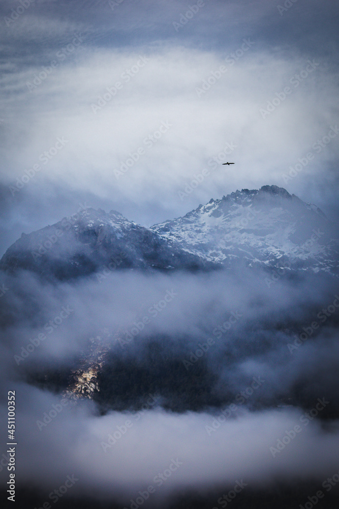 Bird flying over cloudy mountains