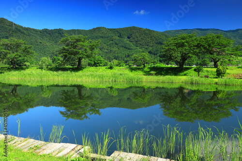 岩手県遠野市 夏の桜並木