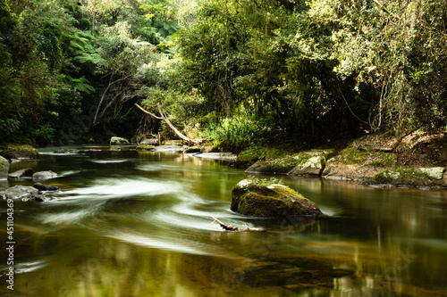 river in the forest