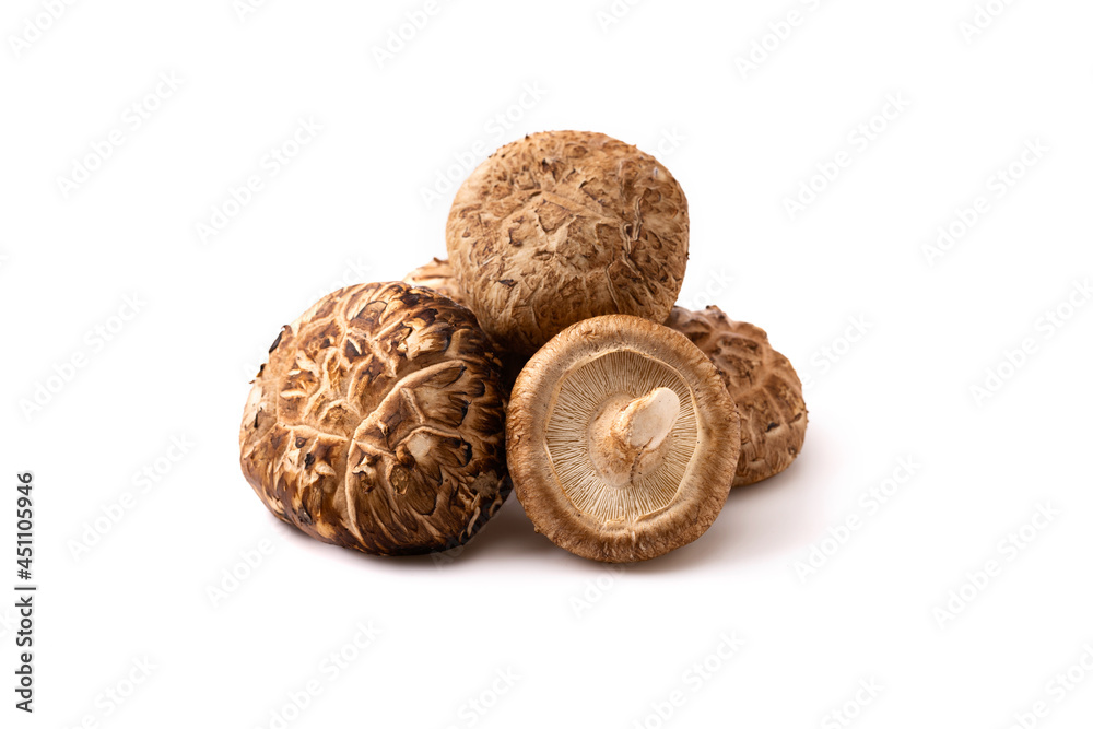 Fresh Shiitake Mushroom isolated on white Fresh Shiitake Mushroom isolated on white