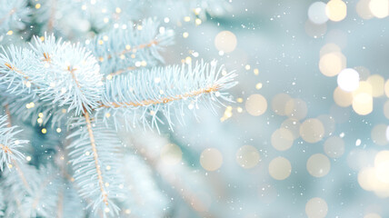 Close up photo of blue Christmas tree background outdoor with lights bokeh around. Christmas atmosphere