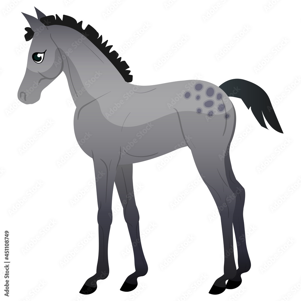 Obraz premium A small gray foal with spots is standing. Horses icons flat style. Vector isolated illustration