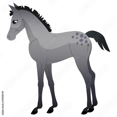 A small gray foal with spots is standing. Horses icons flat style. Vector isolated illustration