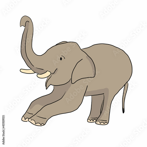 elephant isolated on white background