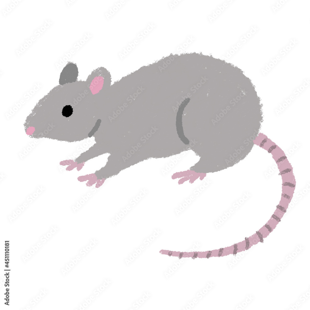 ネズミ 動物 イラスト 手描き
ネズミ 動物 イラスト 手描き