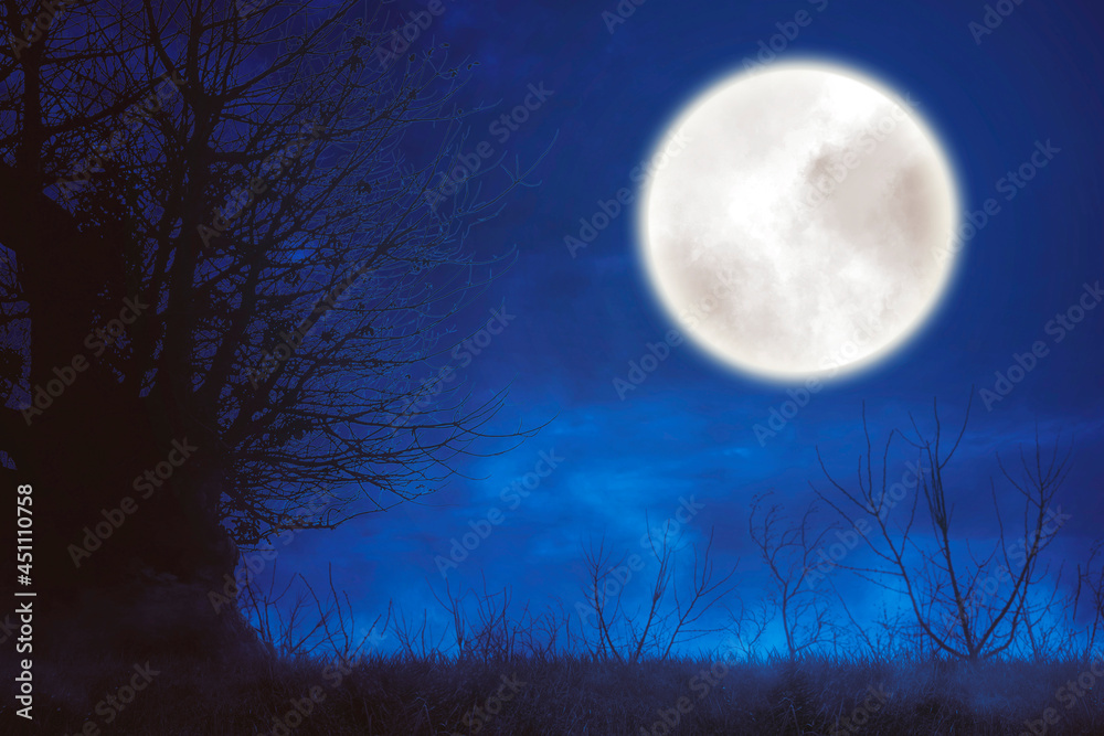 Fototapeta premium Spooky forest with glowing moon at midnight time