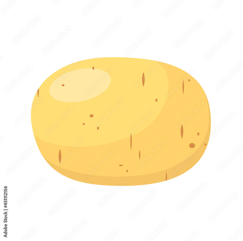 Whole raw potatoes on a white background. A ripe vegetable in a cartoon design. Whole raw potatoes on a white background. A ripe vegetable in a cartoon design.