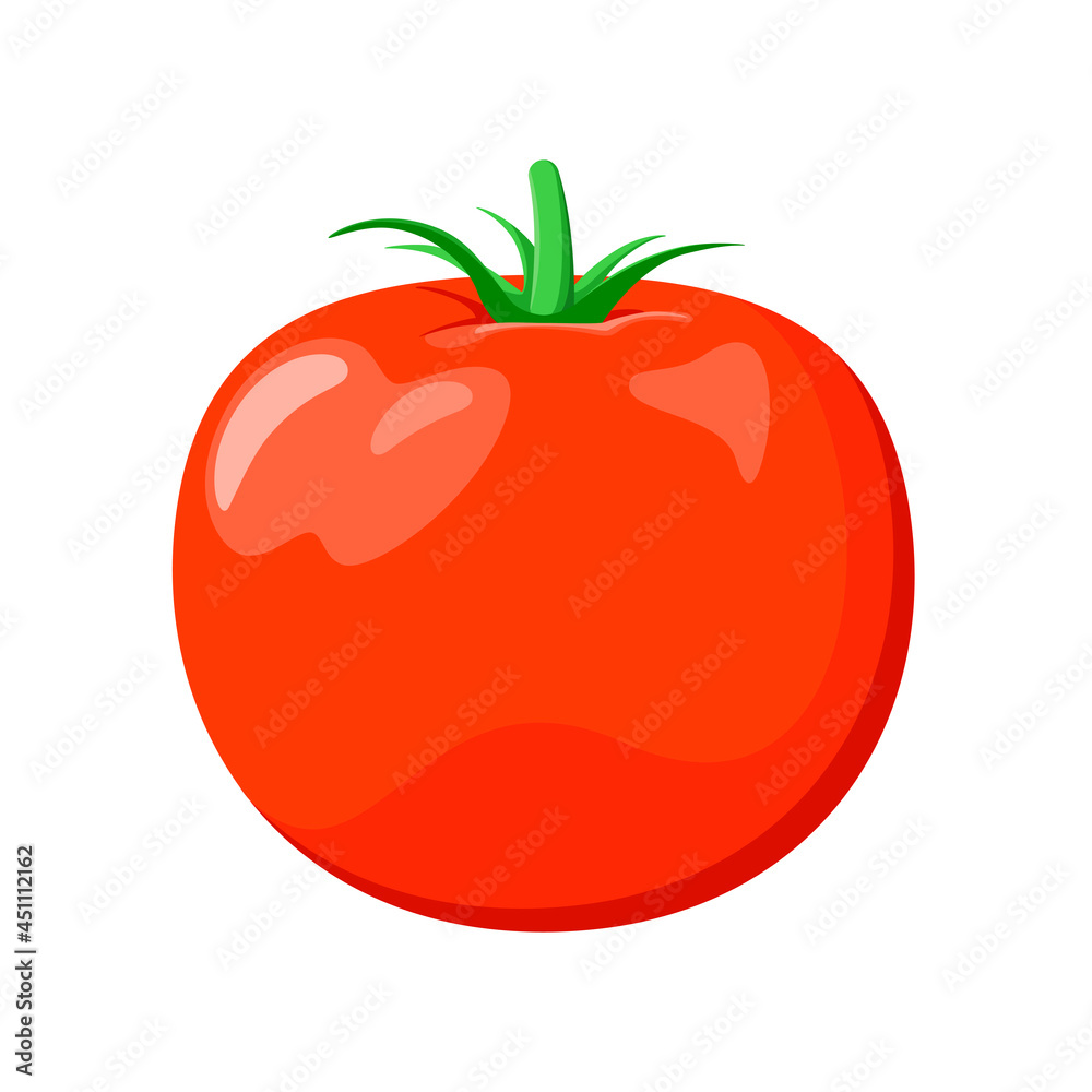 A ripe whole tomato on a white background. Raw vegetable in a cartoon design. A ripe whole tomato on a white background. Raw vegetable in a cartoon design.