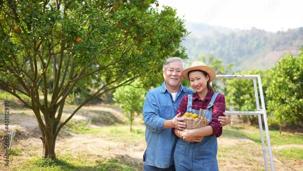 Portrait of Asian woman and senior man farmer working in organic orange orchard together with happiness. Farm owner family preparing harvest ripe orange. Agriculture product industry business concept