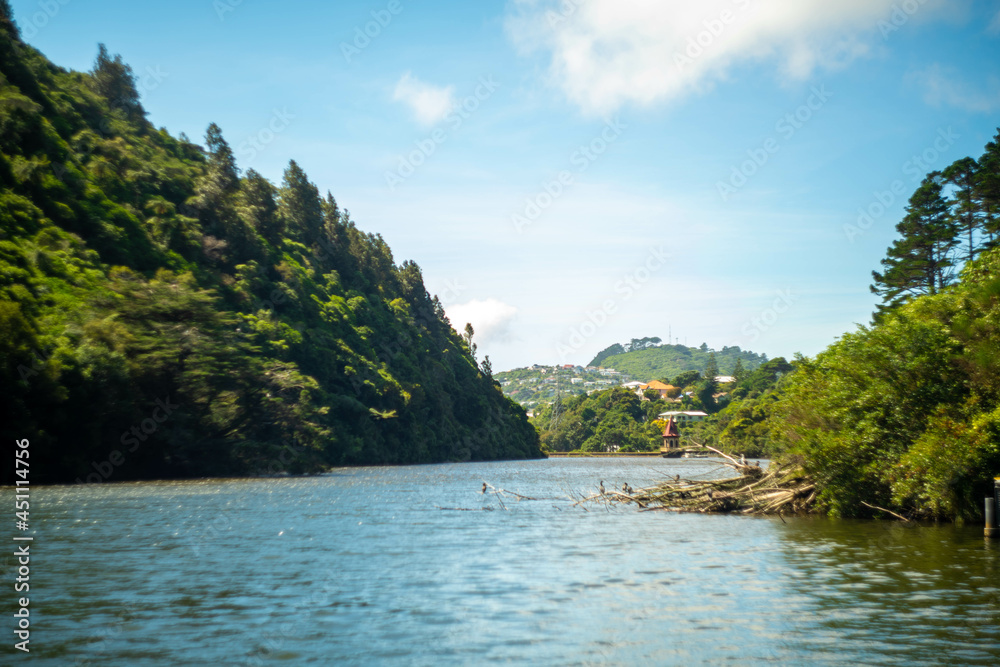 ニュージーランドのウェリントンの観光名所を旅行している風景 Scenes from a trip to Wellington, New Zealand. ニュージーランドのウェリントンの観光名所を旅行している風景 Scenes from a trip to Wellington, New Zealand.