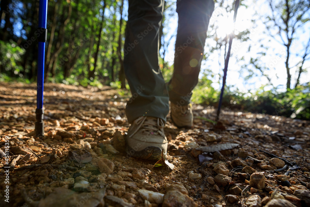 Legs hiking in summer forest mountain Legs hiking in summer forest mountain