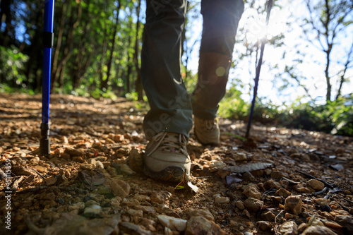 Legs hiking in summer forest mountain