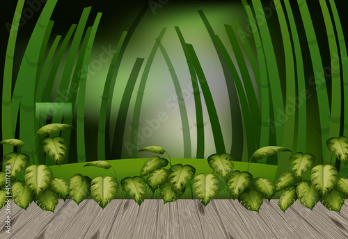 Empty nature landscape scene with blur background