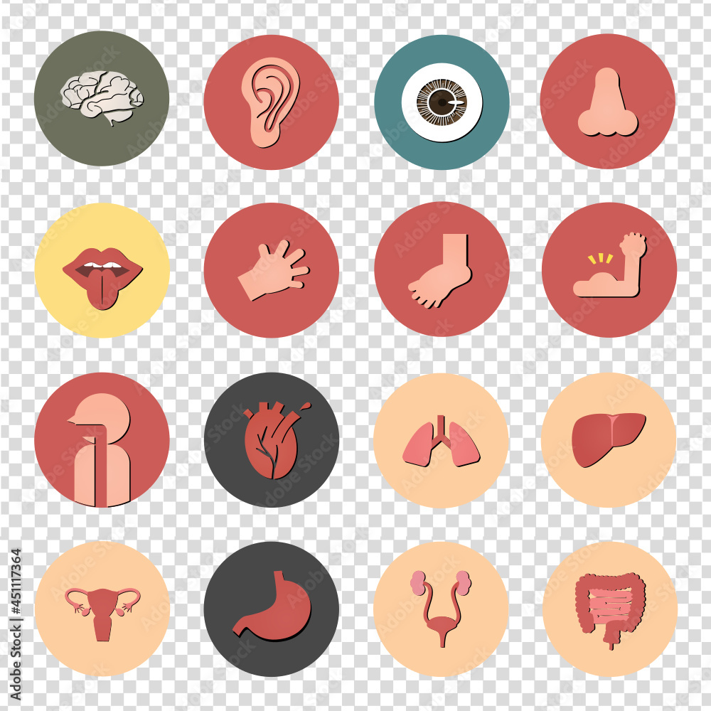 Human body pictogram  icon set,人体内臓 ピクトグラム アイコンセット