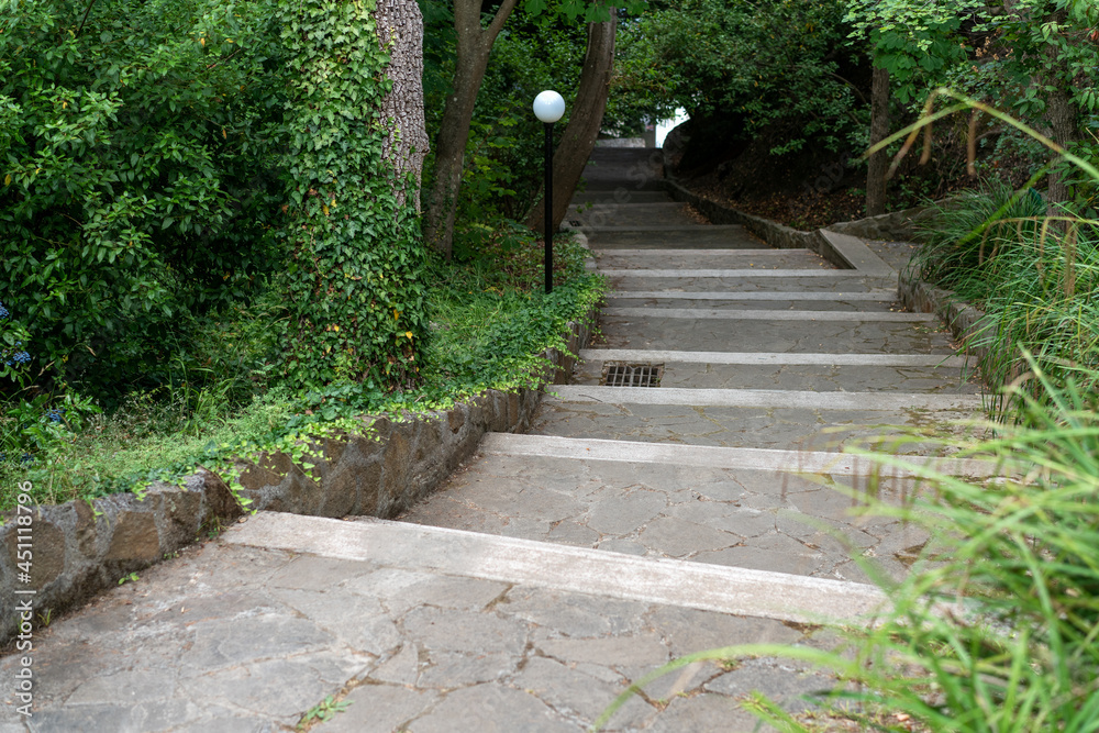 a picture of a concrete staircase going down among green trees and grass. Daylight, close-up.