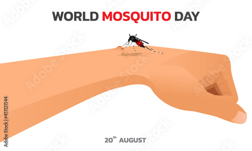 Mosquito Vector with world map Background, World Mosquito day, Malaria Day, dengue fever.