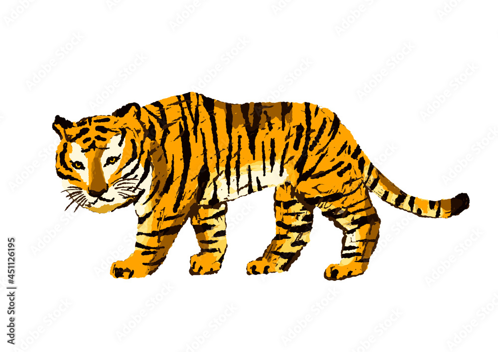 Obraz premium かっこいいワイルドな虎のイラスト／Cool wild tiger illustration