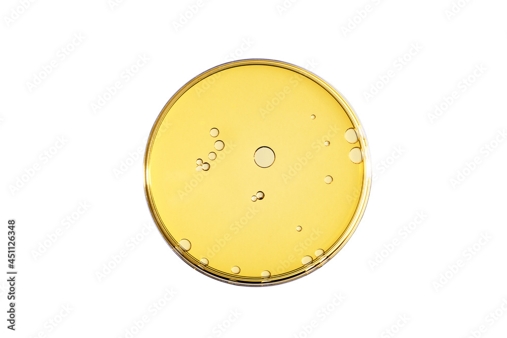 Abstract oil circle bubbles in a petri dish top view. Laboratory cosmetic or medicine background.
