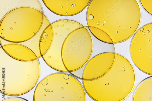 Tableau sur toile Abstract oil circle bubbles in a petri dish top view