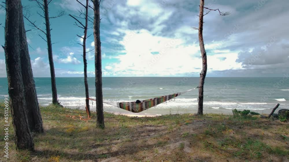 Relaxing in the Hammock by the Windy Baltic Sea and Enjoying Sea View Stedicam Shot. Baltic Sea Coast Where Small Pine Branches Are Equipped With a Hammock. Holiday and Vacation Concept