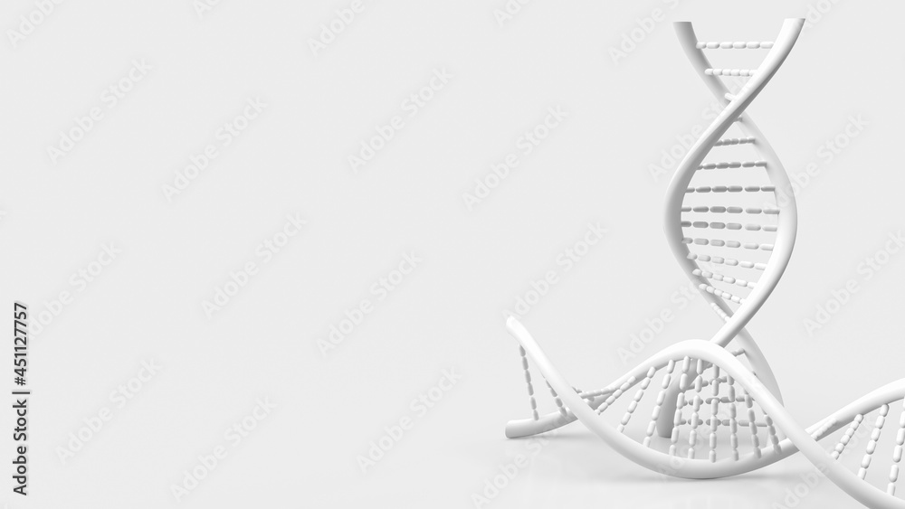 white dna on white background for science or medical concept 3d rendering white dna on white background for science or medical concept 3d rendering