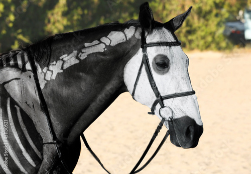 Cute horse painted as skeleton outdoors