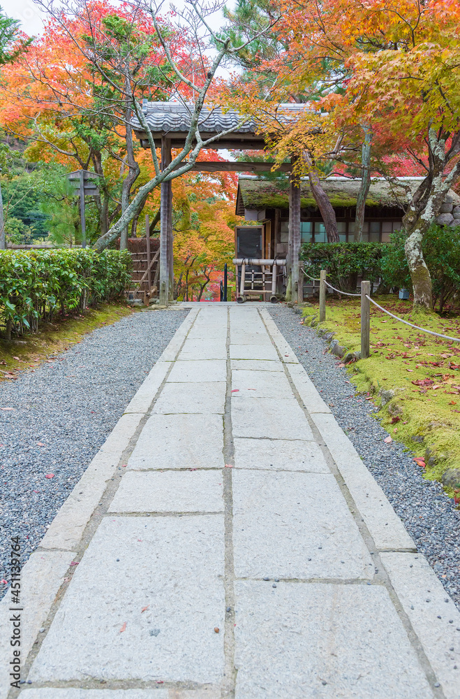 idyllic landscape of Garden in Saga Toriimoto, Arashiyama, Kyoto, Japan in autumn season