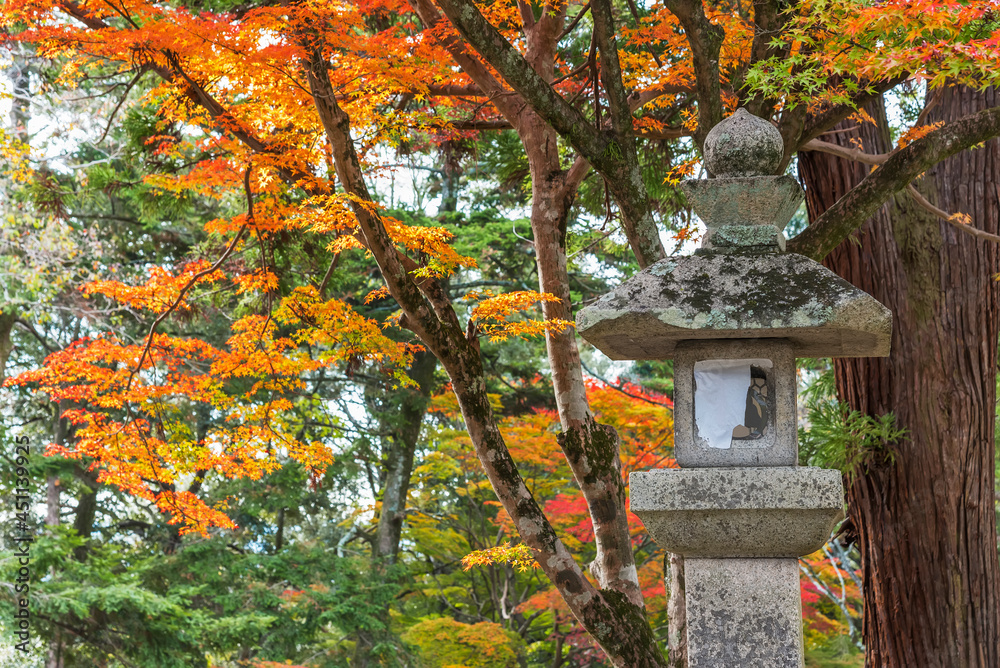 Historical lantern in Shrine with autumn leaves background in Nara, Japan
