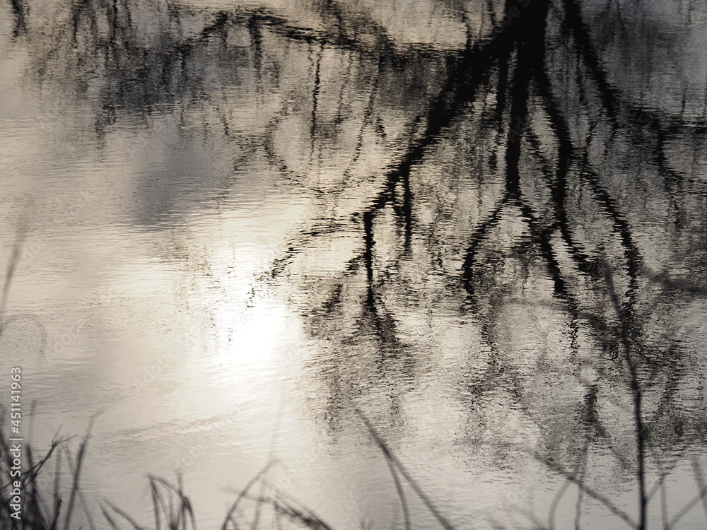 Obraz premium 水面（Water surface）