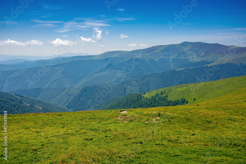 alpine mountain meadow in summer. beautiful landscape of carpathians on a bright sunny day at high noon