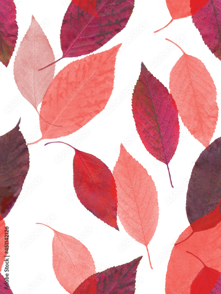 Autumn cherry leaves watercolor on white background seamless pattern for all prints.