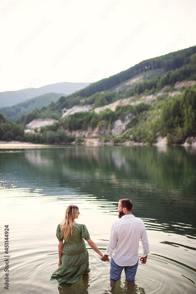 Fototapeta premium Rear view of mature couple in love standing in nature, holding hands.
