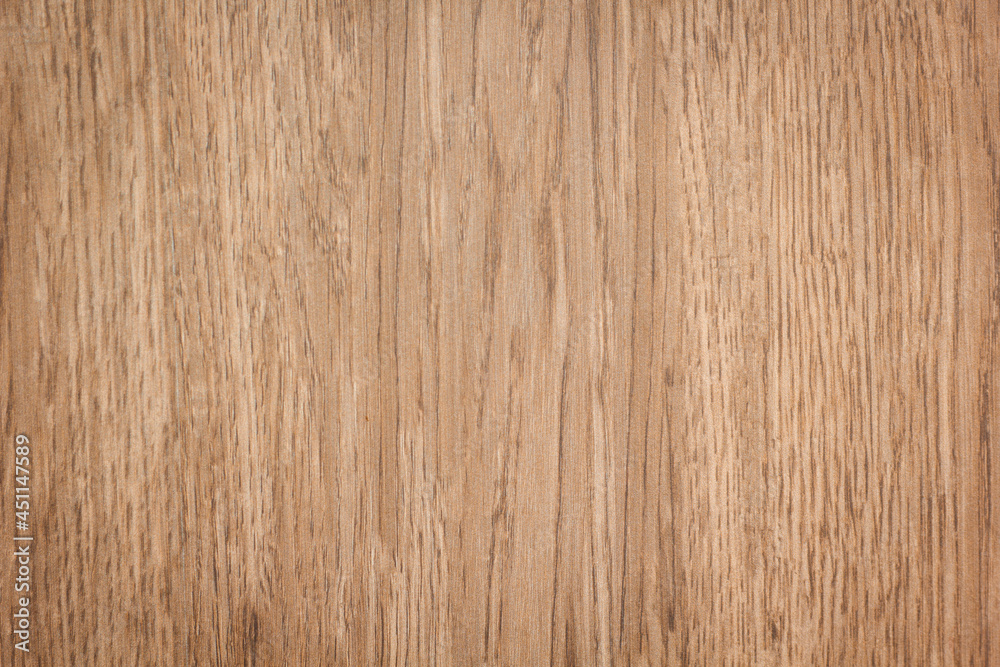 Nature wood textured wallpaper background. Nature wood textured wallpaper background.