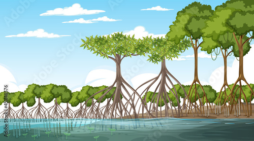 Mangrove forest landscape scene at daytime